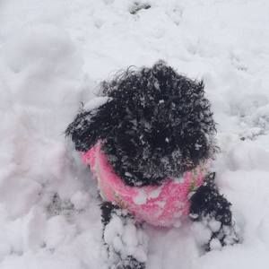 Meet your Posher, Linda